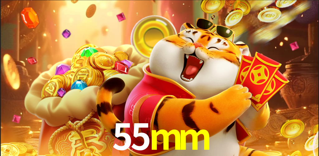 55mm.com